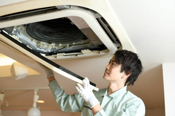 Best Home Air Vent Cleaning  in Ardia, CA