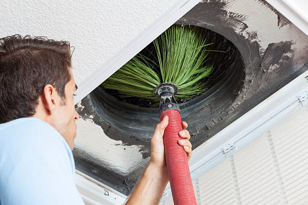 Best Air Duct Cleaning Company Near Me  in Ardia, CA