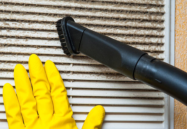 Best Home Air Vent Cleaning  in Ardia, CA